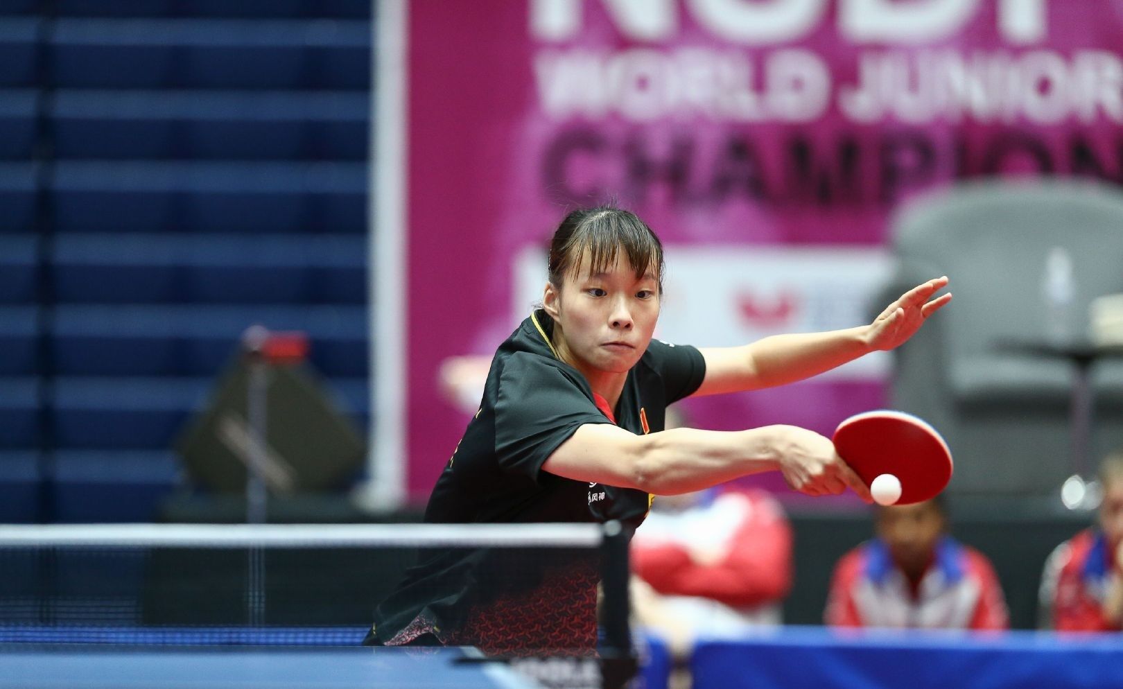 你要我继续 你要我继续